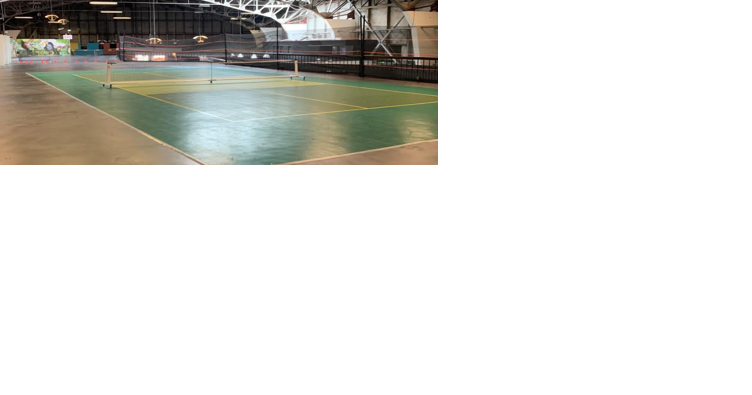 SF Palace of Fine Arts to get 3 indoor pickleball courts | The City - Vimarsana News