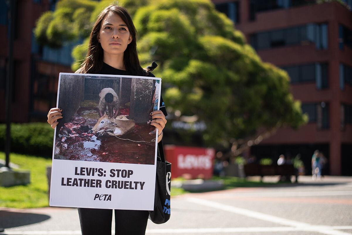 PETA demonstrates against leather outside Levi's headquarters | Photo  Galleries 