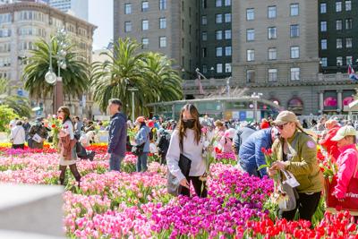 Save The Dates For These Spectacular 2024 Oregon Flower Festivals