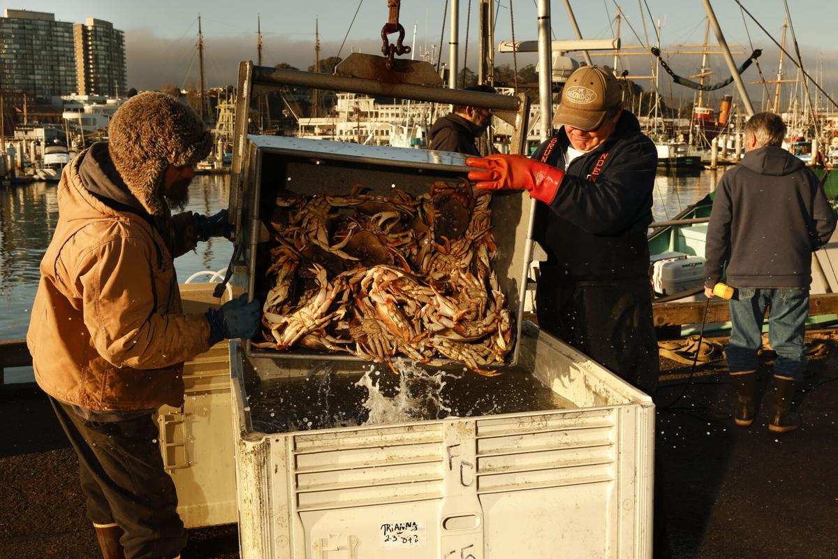 California delays start of Dungeness crab commercial season, Climate