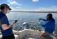 An unimaginable number': Thousands of dead fish washing up across the Bay  Area, Climate