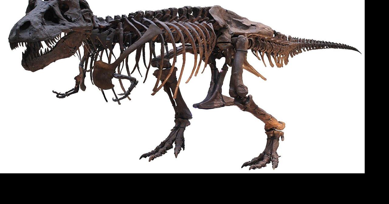T. Rex fossil sells for $50.1 million, putting the king back on top Julia Jacobs and Zachary Small | © 2025 The New York Times Company Jul 14, 2026 4 hrs ago