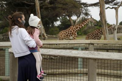 San Francisco Zoo