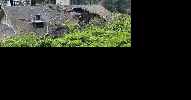 Fallen tree causes severe damage to Trocadero Clubhouse - Vimarsana News