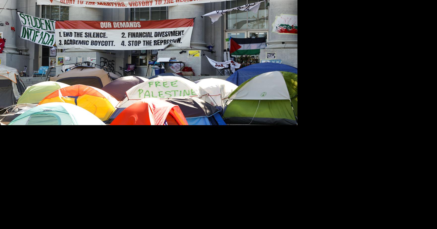 Why UC Berkeley Palestine protests avoid national limelight | Education
