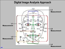 Facial Profiling | Archives | sfweekly.com