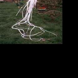 Another 24 Hours: Craigslist Farm and Garden Classifieds | Dining