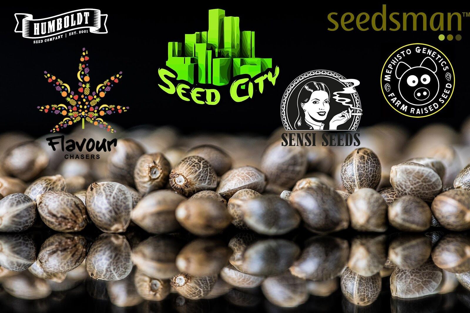 Top 10 Cannabis Seed Banks In 2021 That Ship Marijuana Seeds Online ...