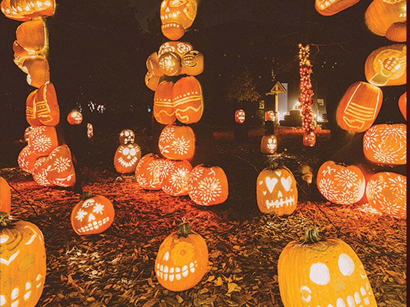 SF Giants Pumpkin Carving Contest