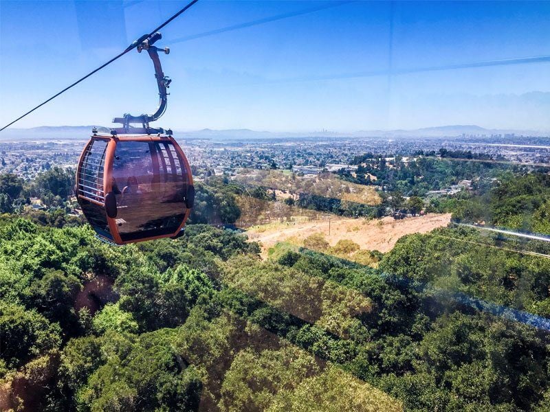 Oakland Zoo - The Oakland Athletics are here for their