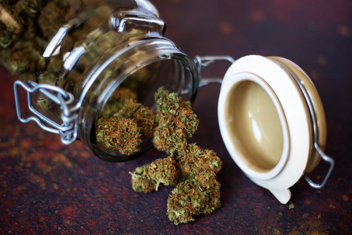 Can You Buy CBD Flower Online? GEARRICE