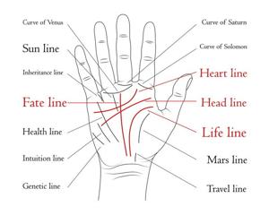 The Ultimate Guide to Palm Readings: Learn How to Read Palms and Get a ...