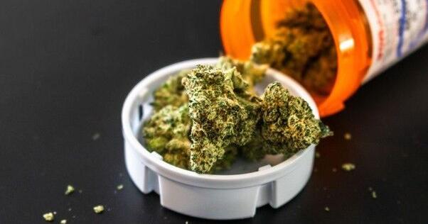 What Summer Heat Reveals About Medical Cannabis Habits
