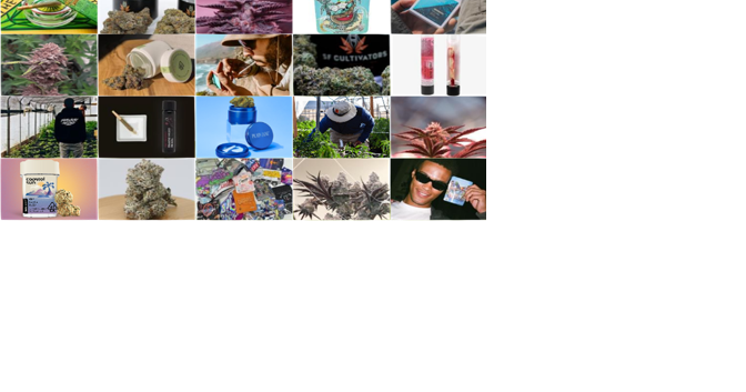 12 Best Flower Brands for 2023: Bay Area Edition - Vimarsana News