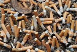 alternative pipe tobacco How to Make a Homemade Pipe from Common Objects: 5 Easy DIYs alternative pipe tobacco How to Make a Homemade Pipe from Common Objects: 5 Easy DIYs