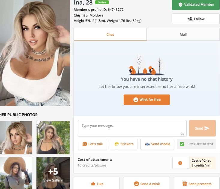 AmourFeel Review: Complete Guide with Prices, Links, Numbers | Internet |  sfweekly.com