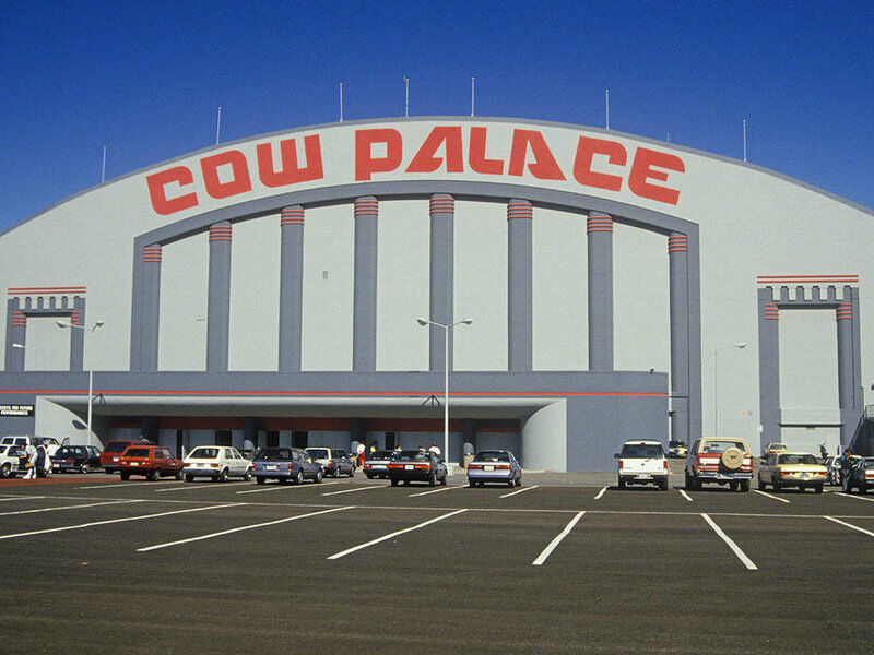 Dog show store cow palace 2019