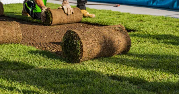 California's Landmark Synthetic Turf Safety Study: What the Science Says and Where AstroTurf Stands