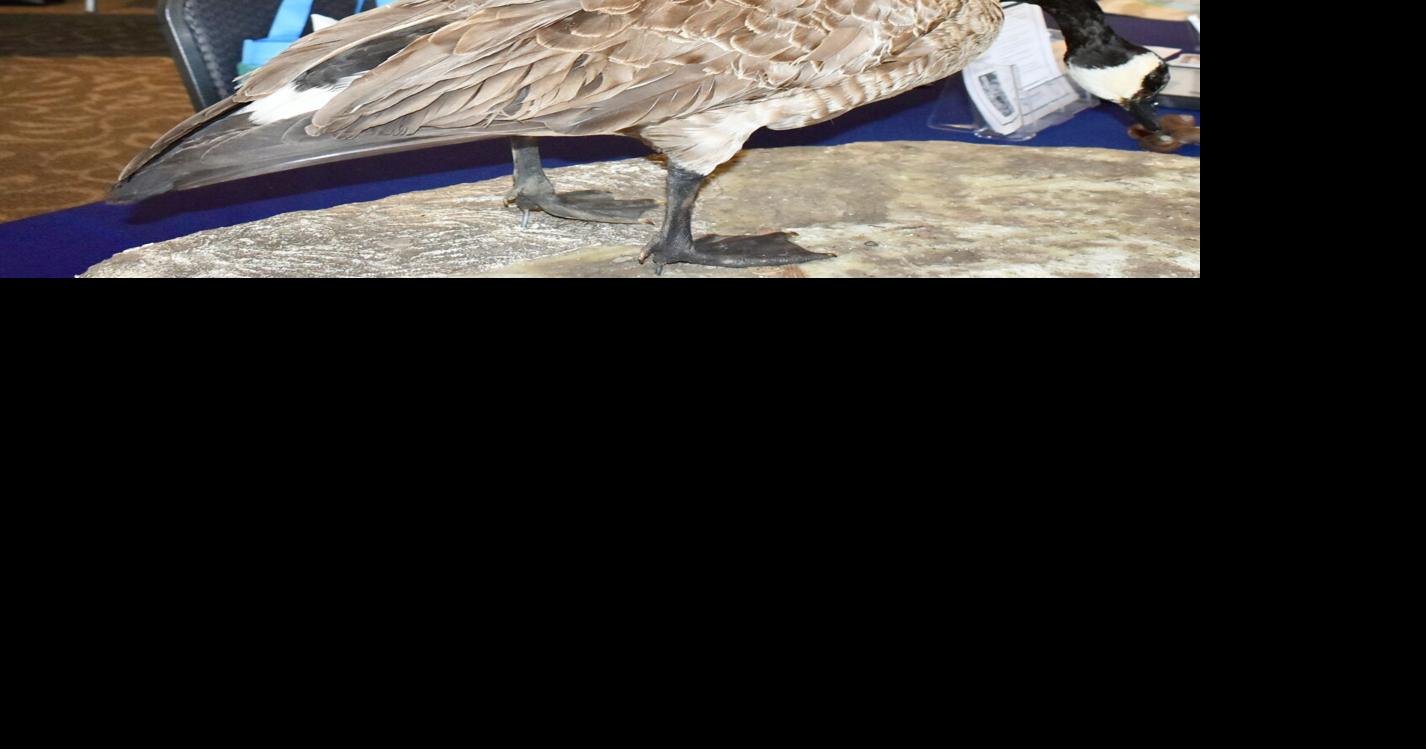 Health and benefits goes to school