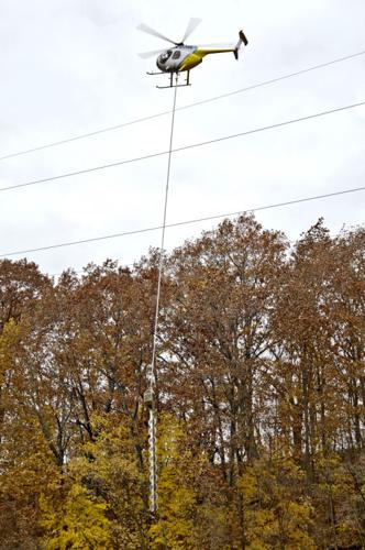Tree trimming a high wire act | Local News | sharonherald.com