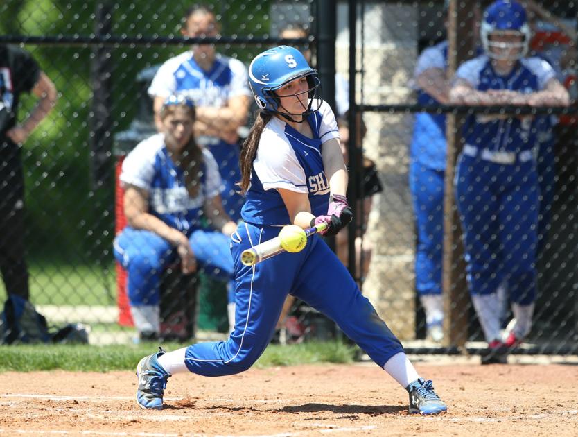 D 10 Softball Lady Hornets Muskies Rockets Hounds Devils Advance To Semis Sports Sharonherald Com