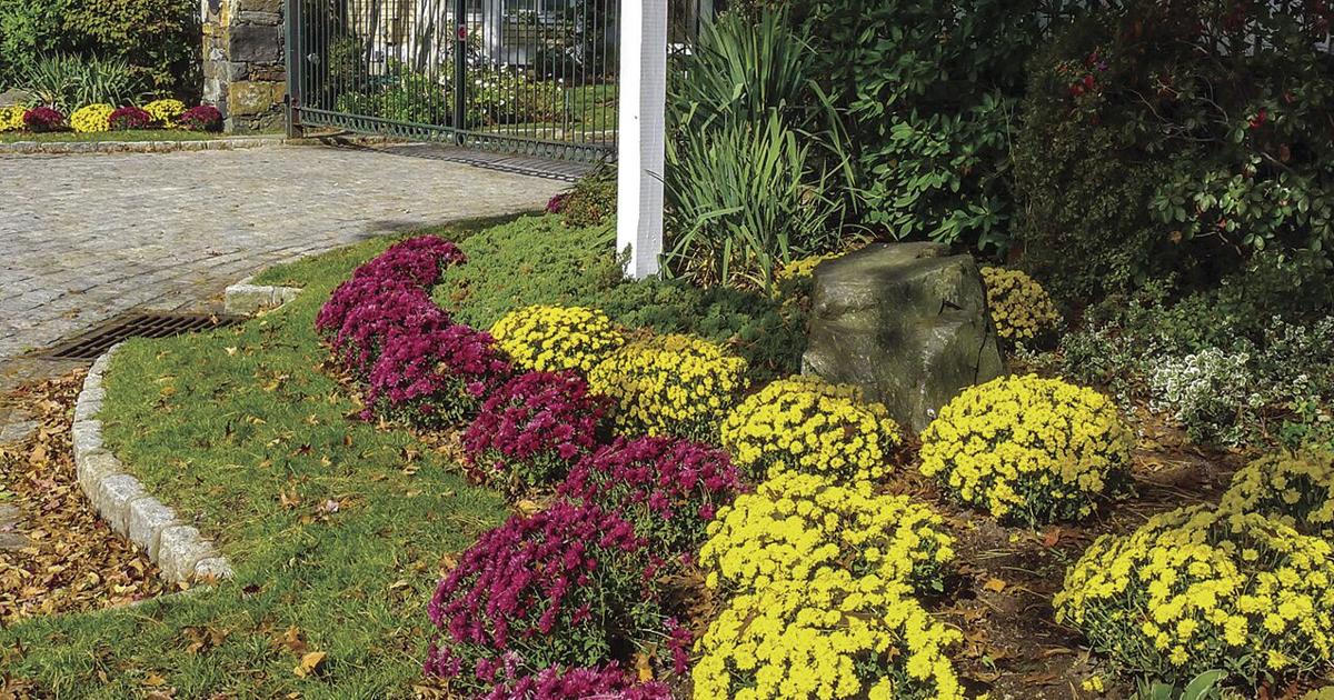 A beginner’s guide to fall planting and maintenance | | sharonherald.com