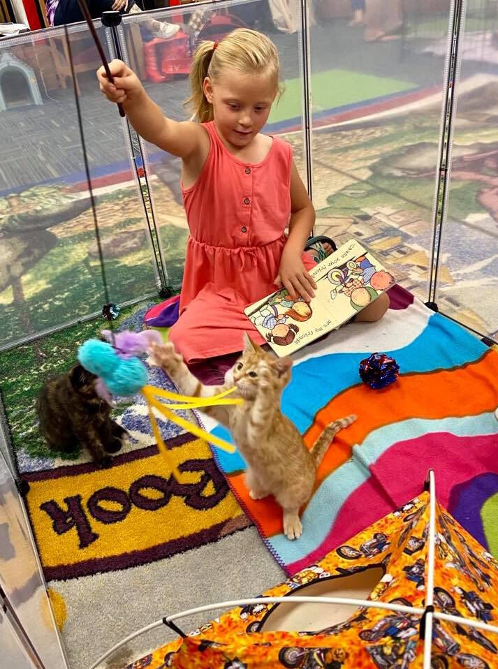 library girl playing with cat.jpg