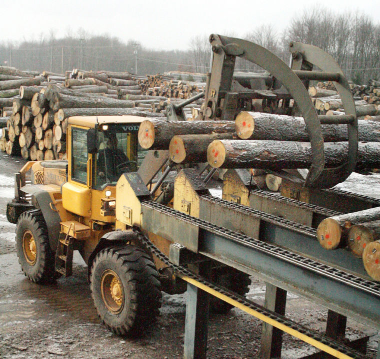 OUTLOOK Veneer plant serves international wood products market Local