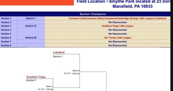 Lakeland All-Stars competing at state tournament