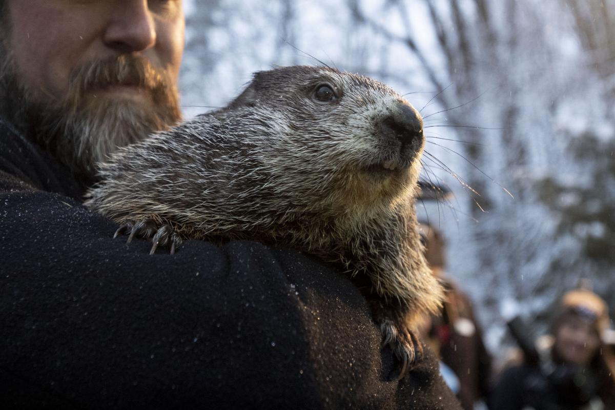 Pennsylvania groundhog declares early spring 'a certainty' Region