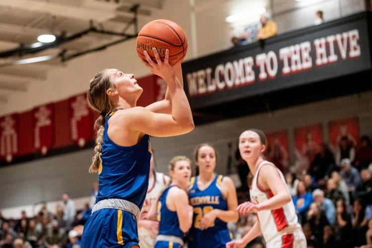 Schaller's return from basketball injury a big boost for Jamestown