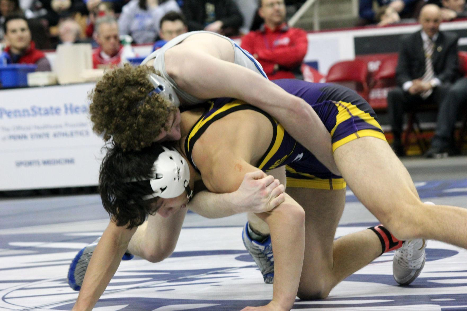 Bayless, McMaster advance to state finals | Sports | sharonherald.com