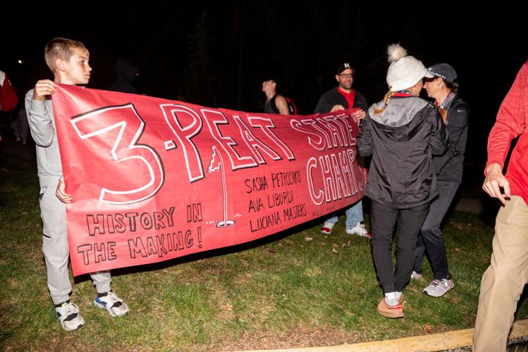 Hickory wins third straight PIAA girls golf title, Grove City boys ...
