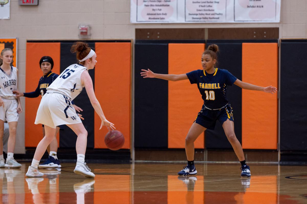 Girls Hoops Class 6a 5a All State Teams Sports Sharonherald Com