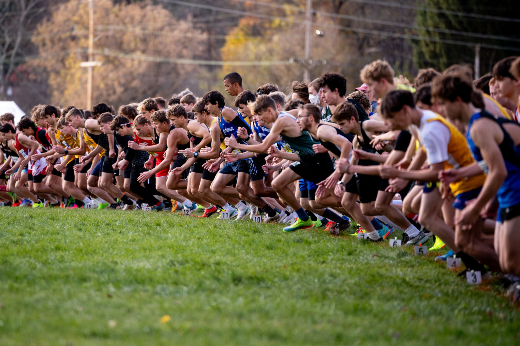 PHOTO GALLERY: 2024 District 10 Cross Country Championships