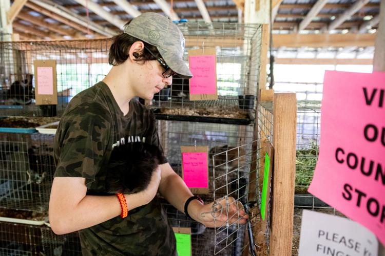 Mercer County Grange Fair poised to open Tuesday News