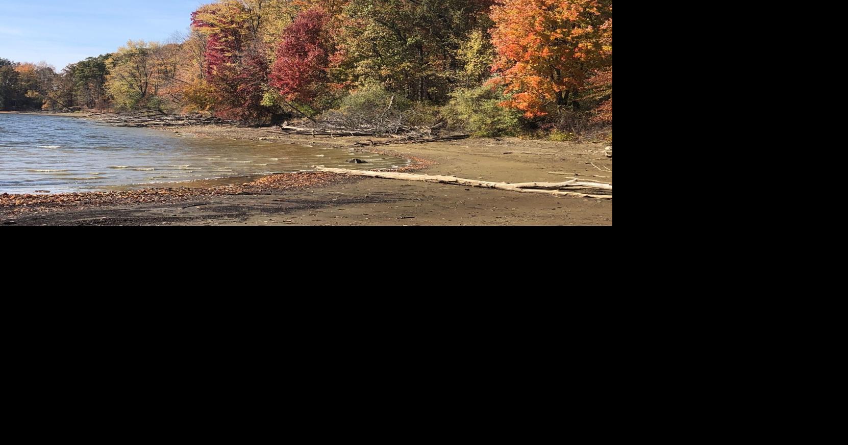 The grass is always greener outside the fence Opinion