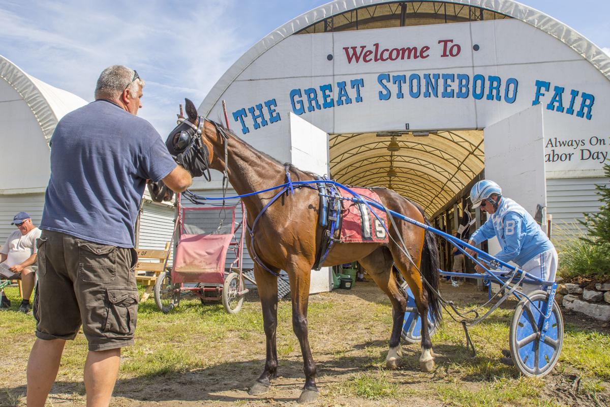 Harness driver killed