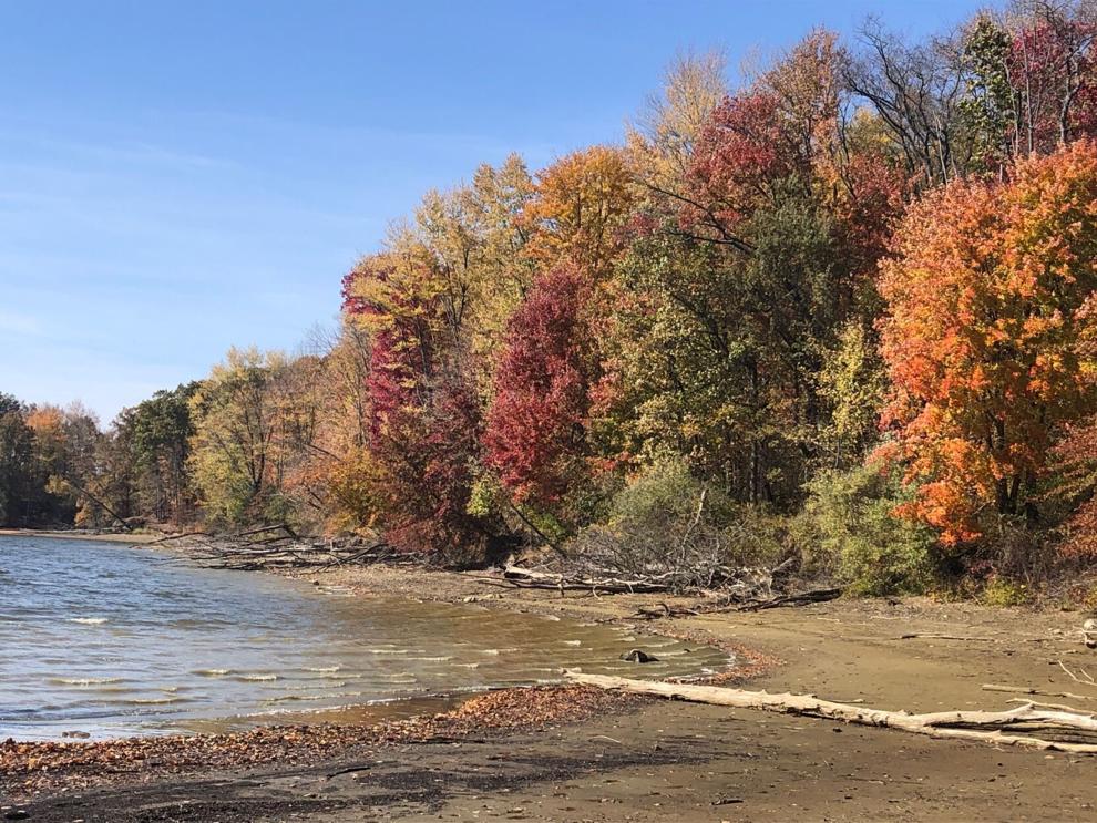 Coming of fall means leaves tumble and political signs rise