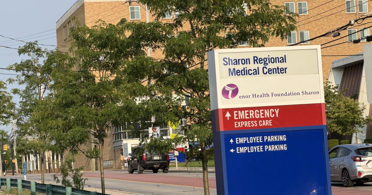 Sharon Regional interim CEO: 'I see us breaking even from operations within 4 years'