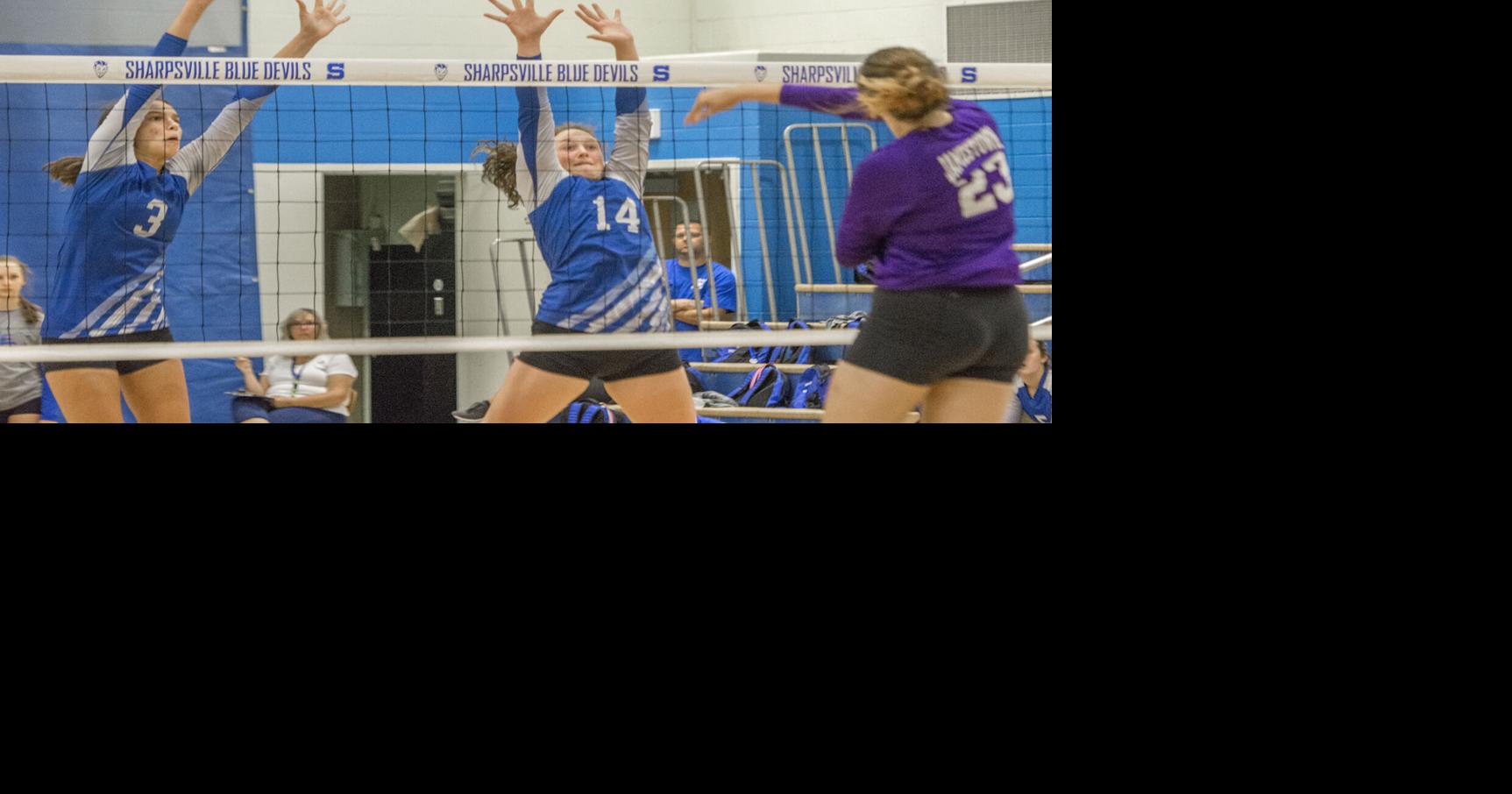 Sharpsville's Benedict an AllState selection in volleyball Sports