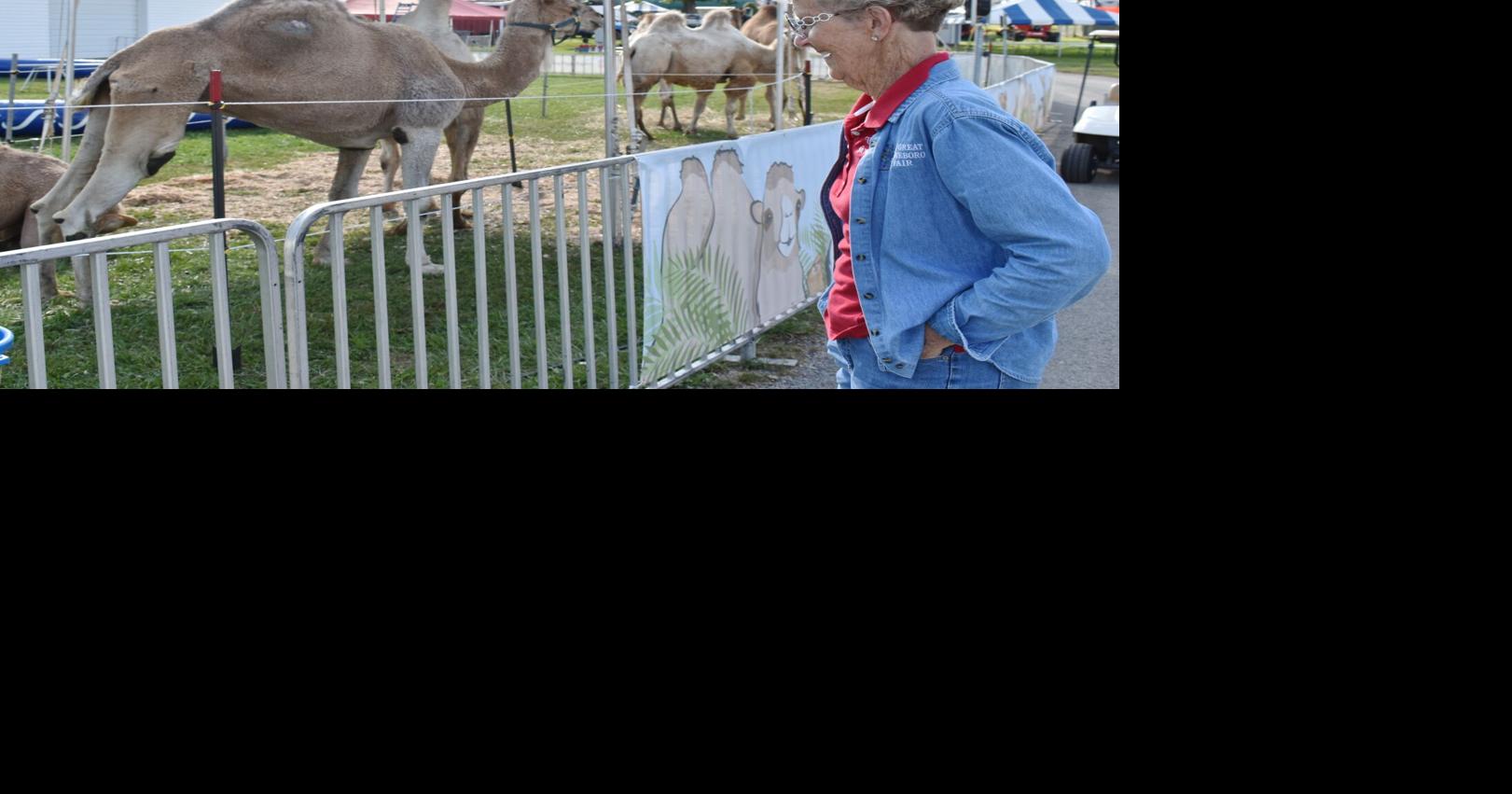 Stoneboro Fair set to begin with record number of vendors News