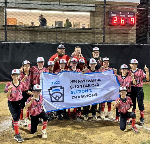 Hermitage Little League teams advance to state tournament, Sports