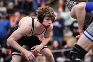 PIAA Wrestling: Stewart, Slicker, Tupper finish 4th in Hershey, Gentile 5th, Hamilton and Cox 7th