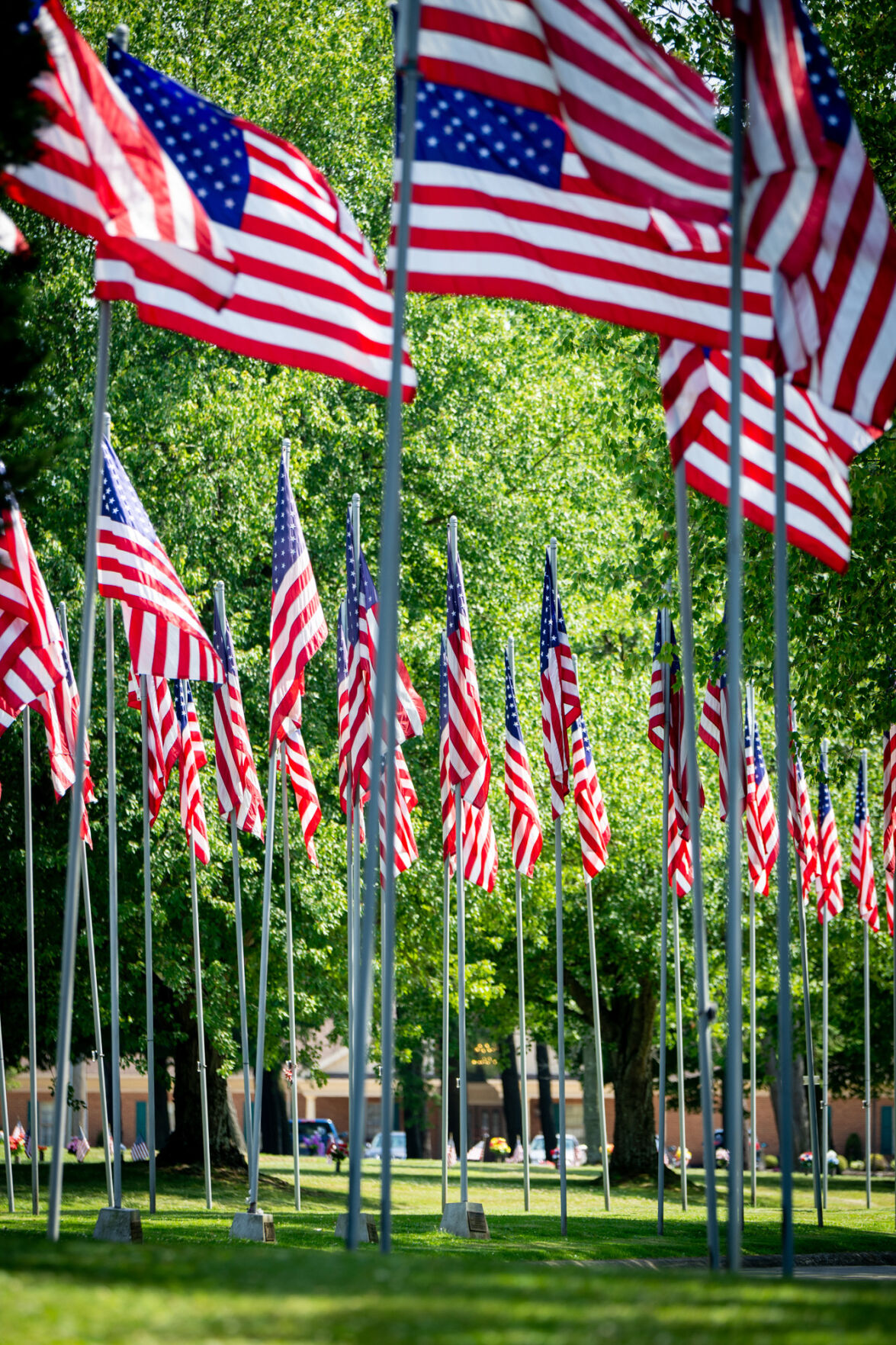 Avenue of 444 Flags Iranian hostage crisis artifacts preserved | News ...