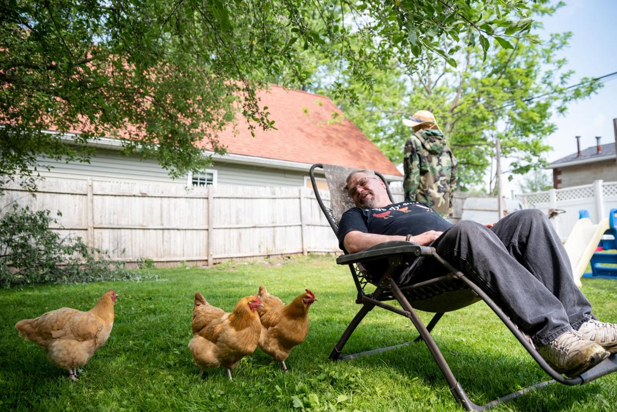 GroveCityChickens-TM-7.jpg