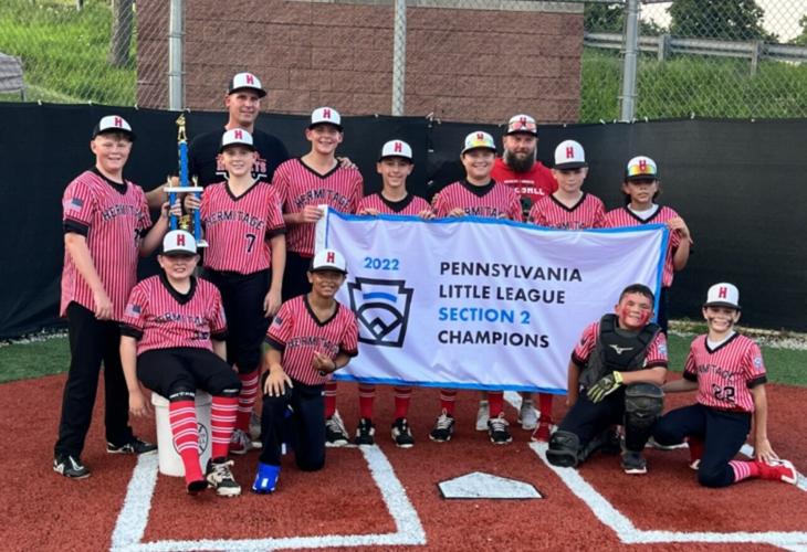 Hermitage Little League teams advance to state tournament, Sports