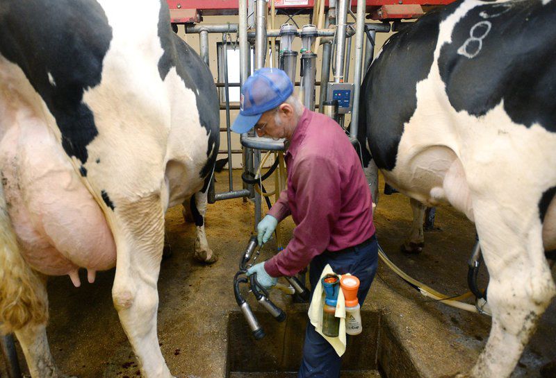 Low Milk Prices Take Toll On Western Pa Dairy Farmers State 