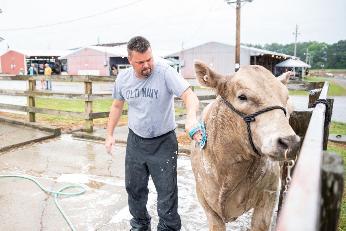 LawrenceCountyFair-TM-2.jpg
