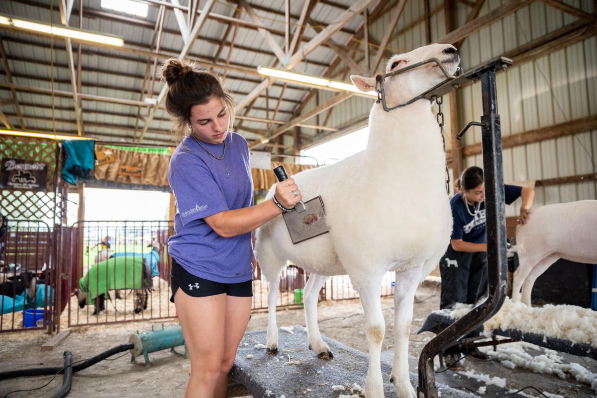 LawrenceCountyFair-TM-5.jpg